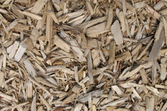 biomass boilers Hisomley